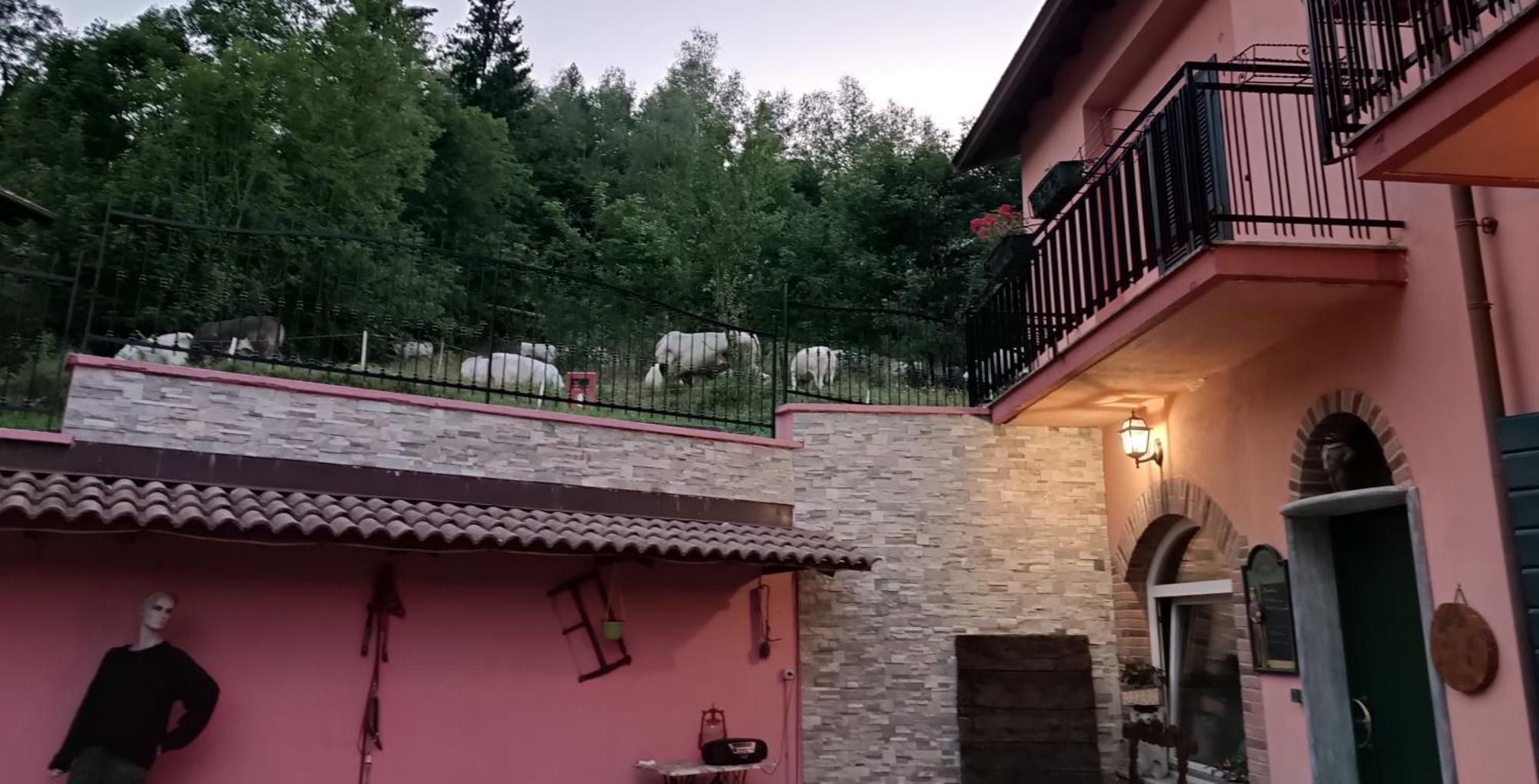 B&B Casa Dell'Orso Lurisia Exterior photo